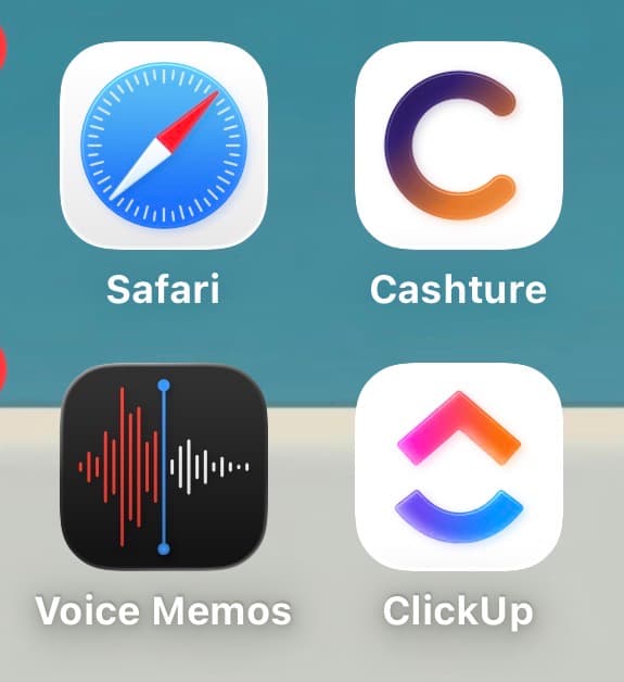 Cashture on iPhone home screen